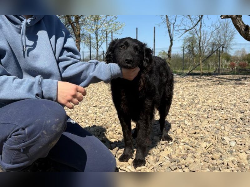 menschenbezogene Sofija