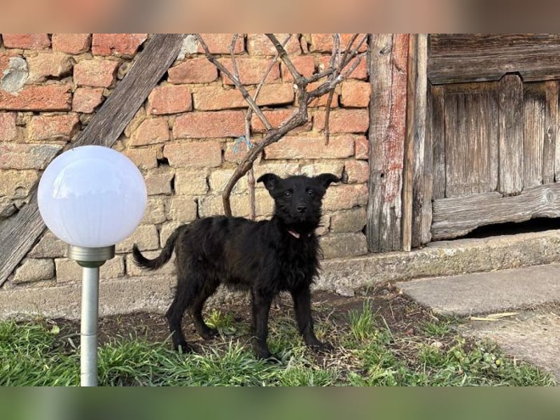 Energiebündel Vinka