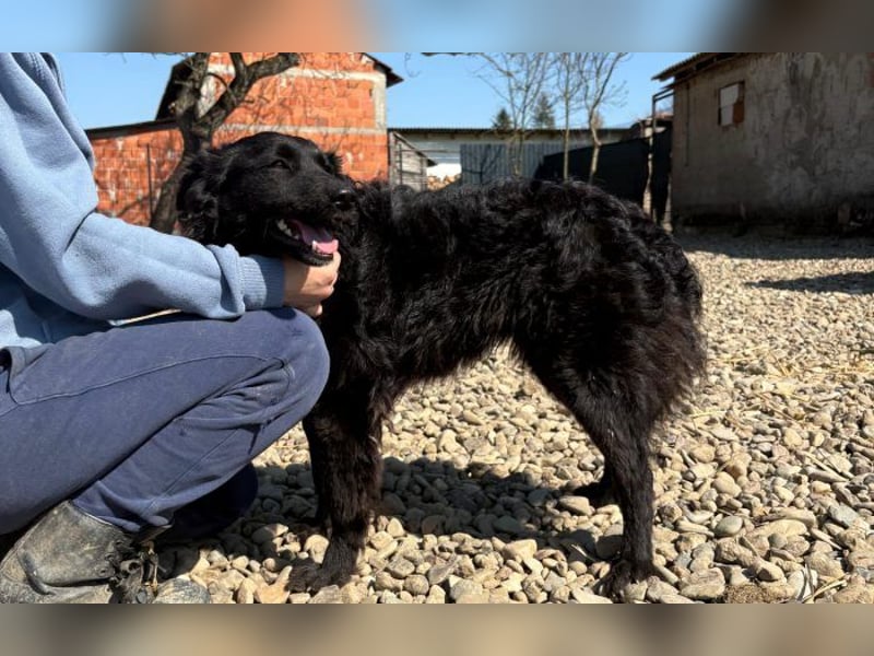 menschenbezogene Sofija