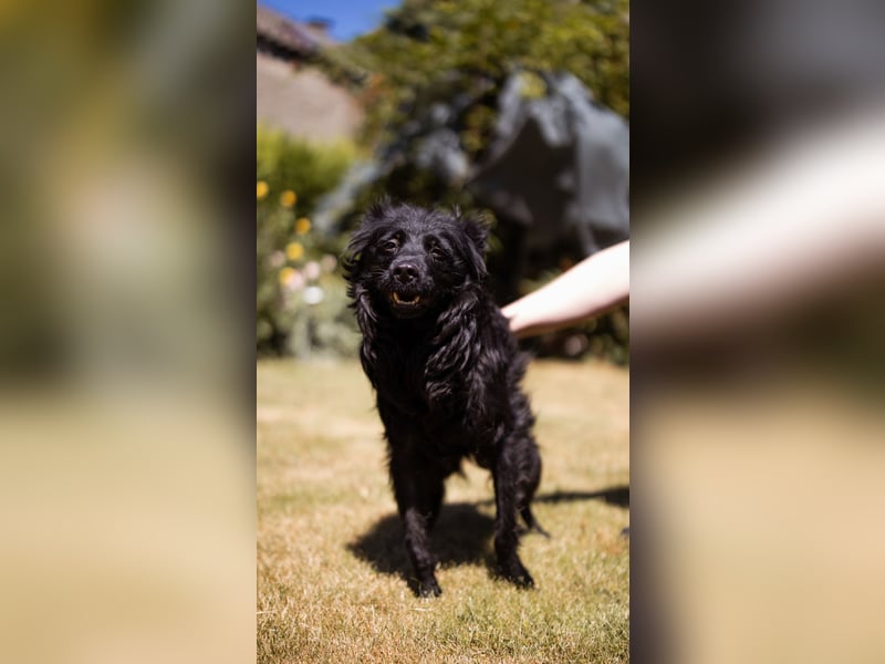 Besonderer Mowgli