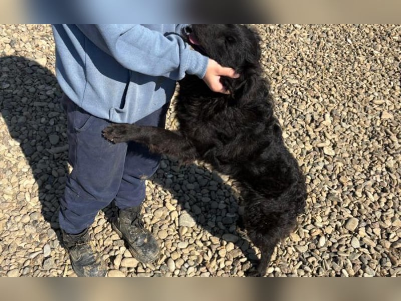 menschenbezogene Sofija