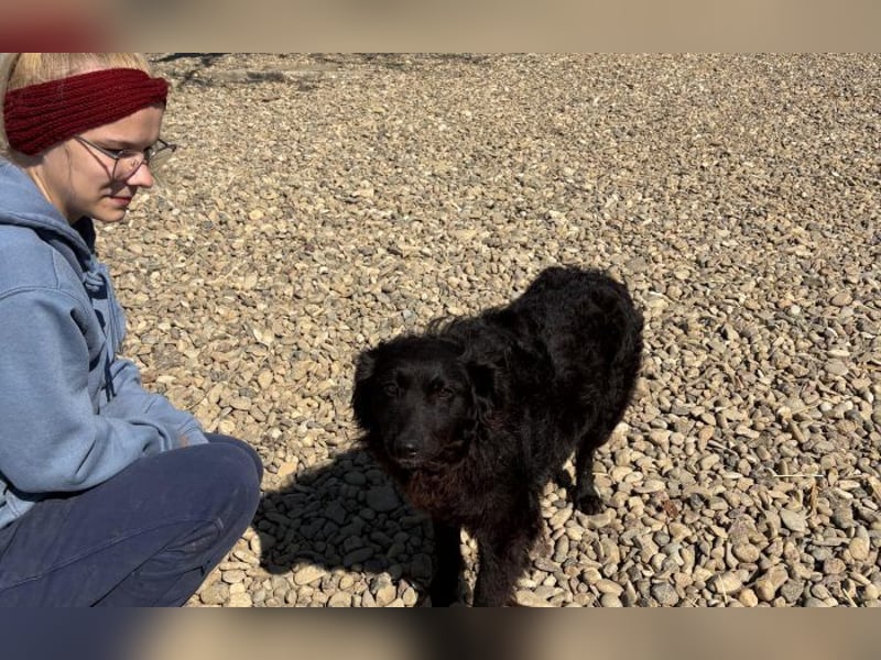 menschenbezogene Sofija