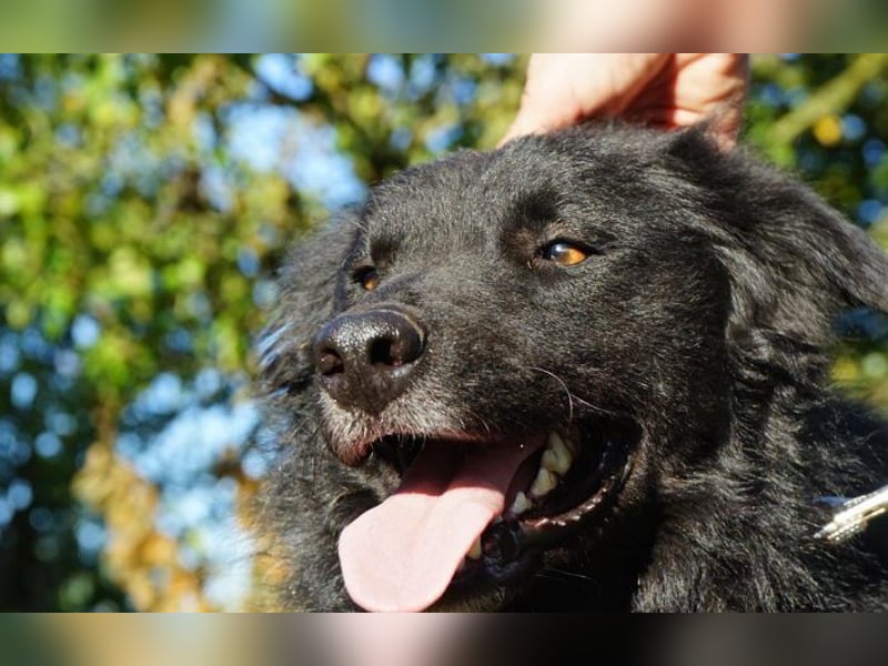 menschenbezogener Tobby