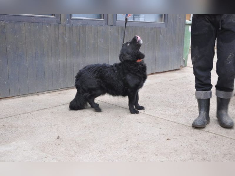 menschenbezogener Otto