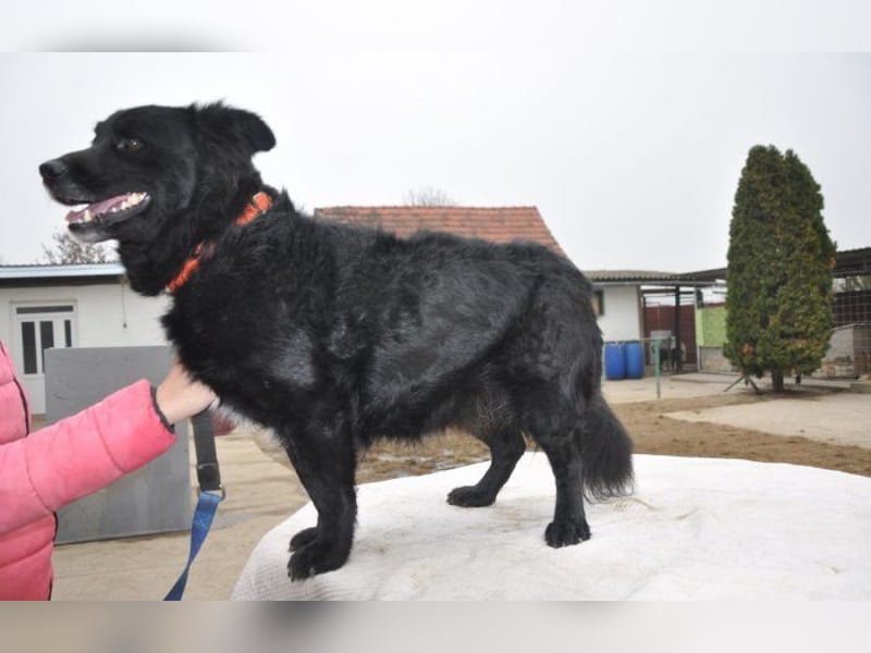 menschenbezogener Otto