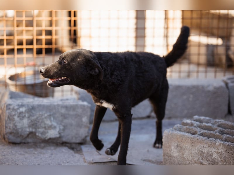 Vinn ❤️ schmusiger, süßer Bub sucht Liebe Vinn ❤️ schmusiger, süßer Bub sucht Liebe