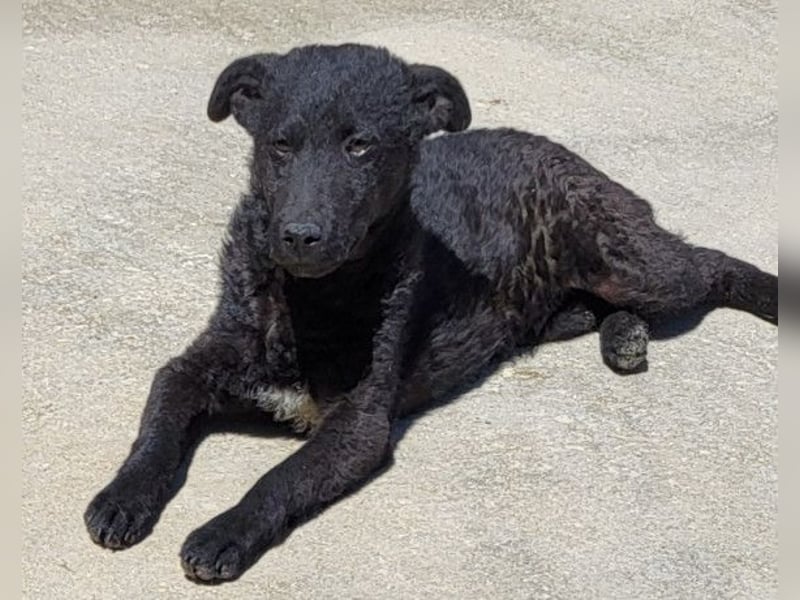 Vinn ❤️ schmusiger, süßer Bub sucht Liebe Vinn ❤️ schmusiger, süßer Bub sucht Liebe