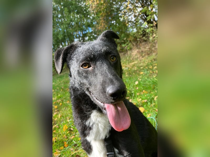 Elsie ❤️ wartet in 09648 Mittweida