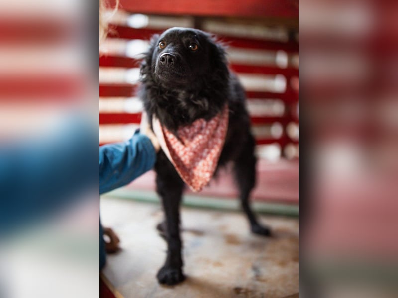 Liebe, junge ♥Lyra♥ zauberhafte Seele