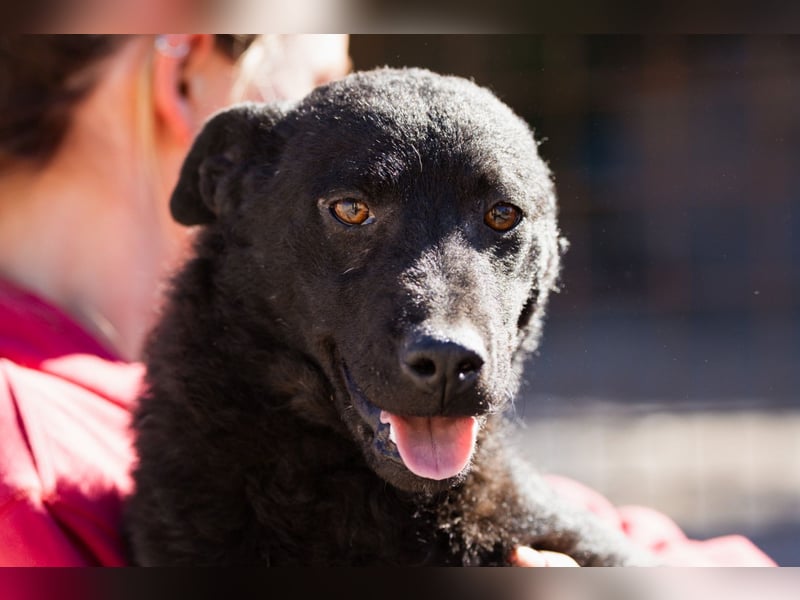 Vinn ❤️ schmusiger, süßer Bub sucht Liebe Vinn ❤️ schmusiger, süßer Bub sucht Liebe