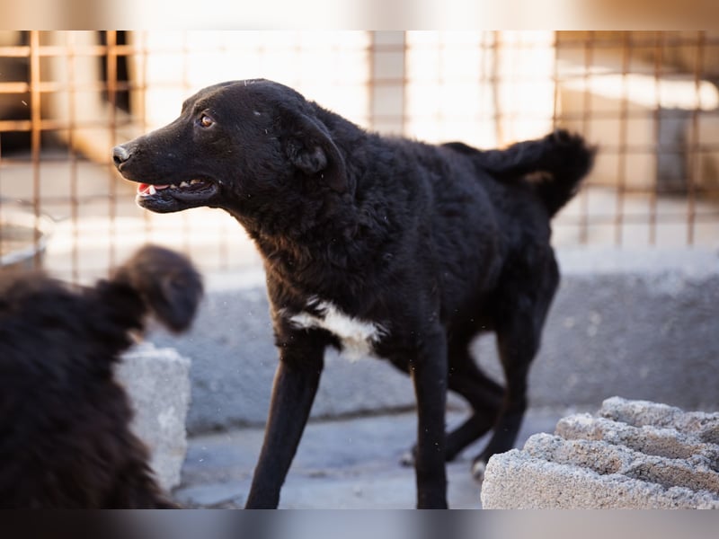 Vinn ❤️ schmusiger, süßer Bub sucht Liebe