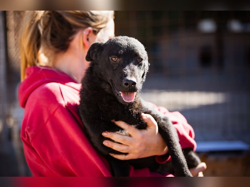 Vinn ❤️ schmusiger, süßer Bub sucht Liebe