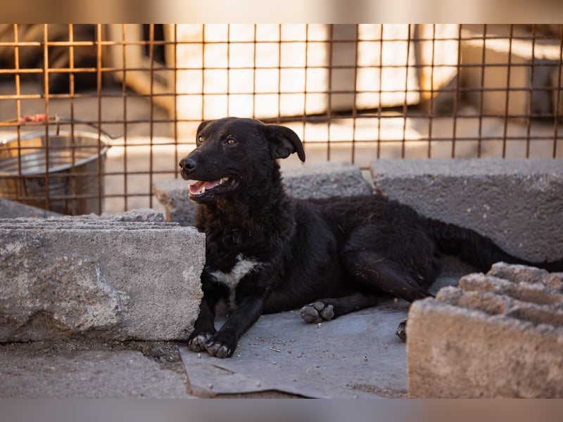Vinn ❤️ schmusiger, süßer Bub sucht Liebe Vinn ❤️ schmusiger, süßer Bub sucht Liebe