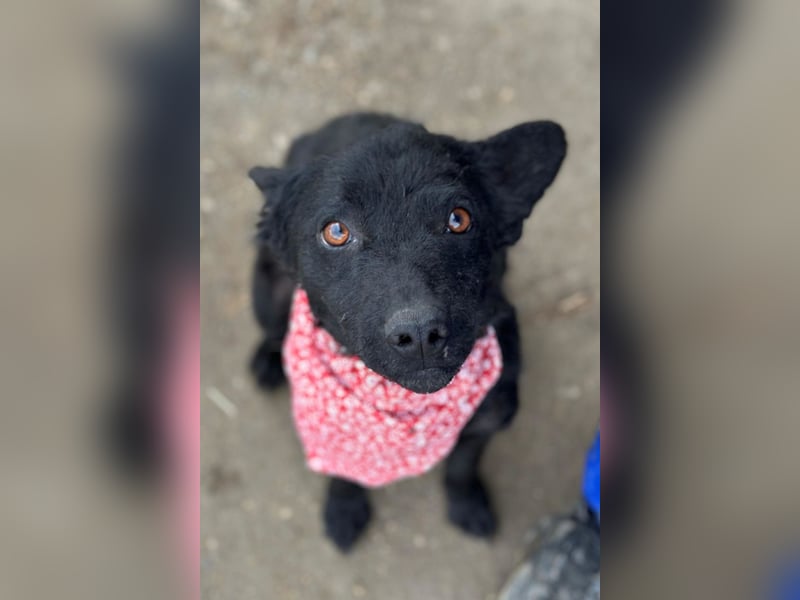 Layla ❤️ sanfte & super liebe junge Maus