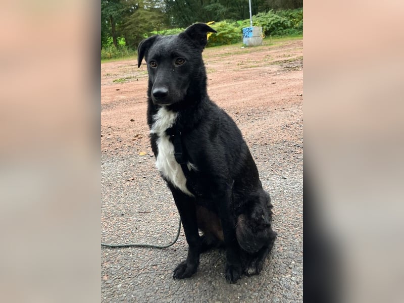 Elsie ❤️ wartet in 09648 Mittweida