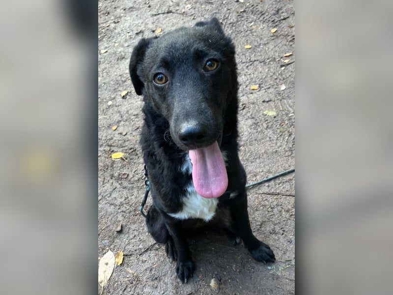 Elsie ❤️ wartet in 09648 Mittweida