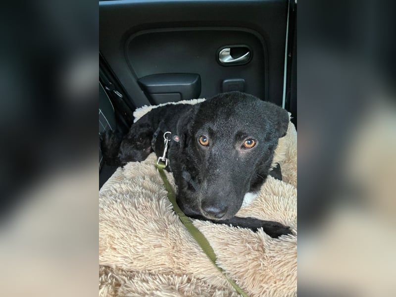 Elsie ❤️ wartet in 09648 Mittweida