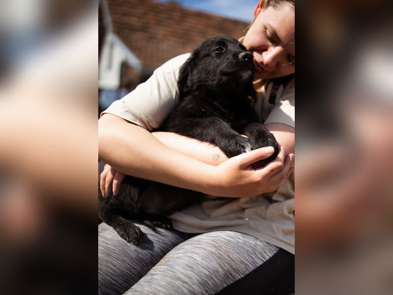 Levi ❤️ neugieriger, so lieber Welpenbub