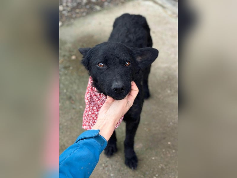 Layla ❤️ sanfte & super liebe junge Maus