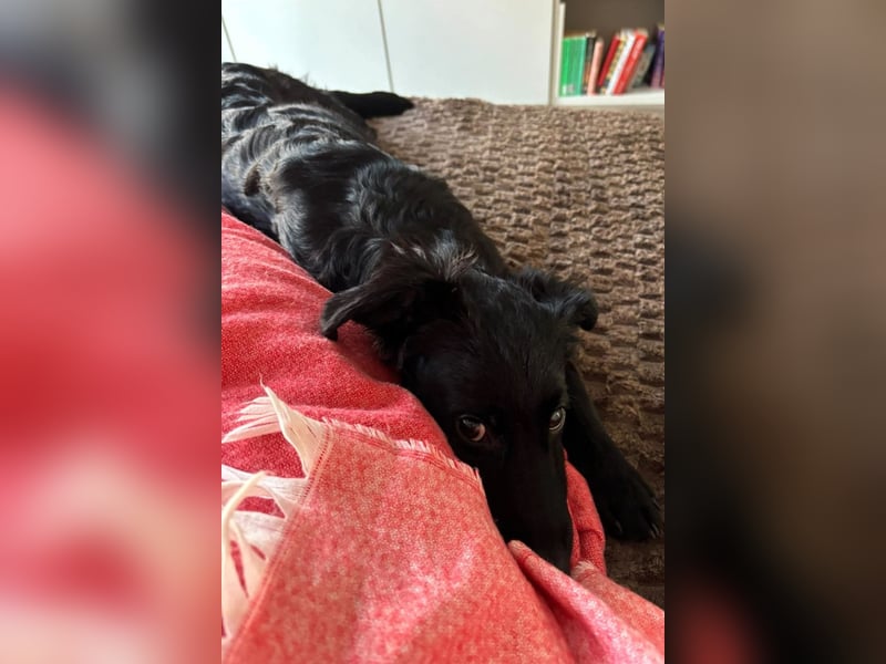 Herzchen Enya ❤️ wartet in 04157 Leipzig auf dich