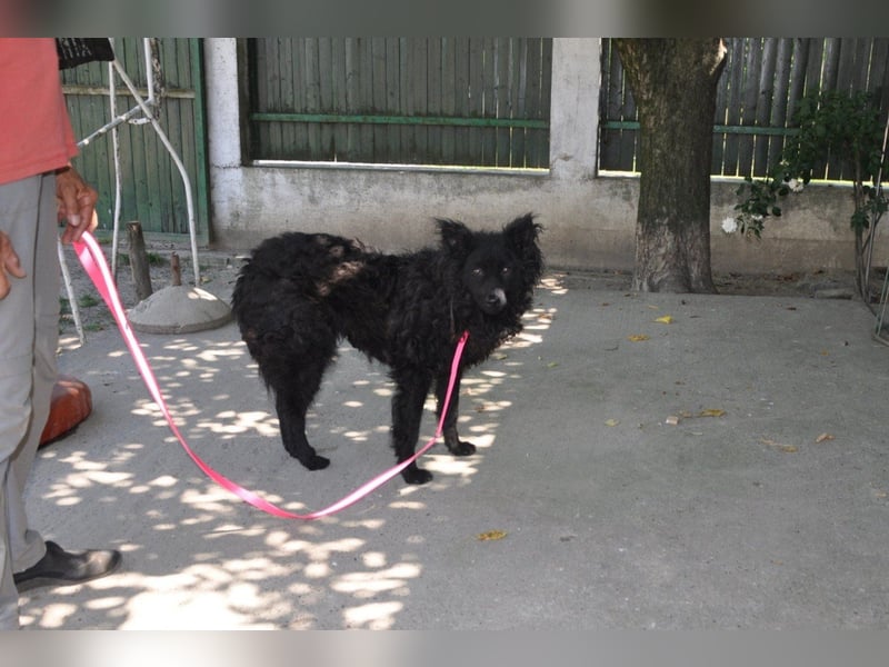 Juliška ❤ mit sanftem und zärtlichem Wesen