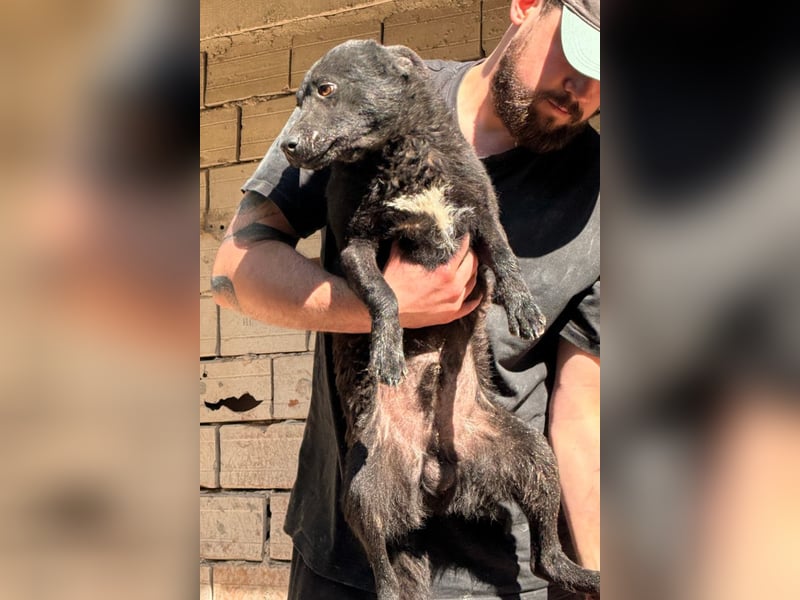 Vinn ❤️ schmusiger, süßer Bub sucht Liebe