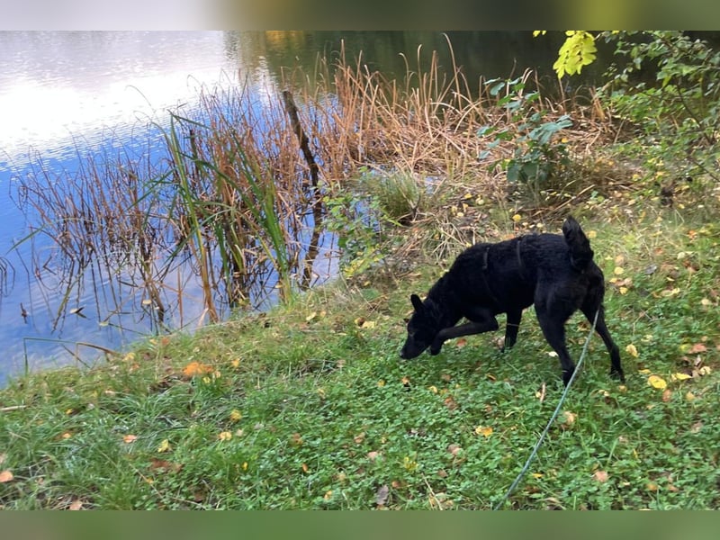 Elsie ❤️ wartet in 09648 Mittweida