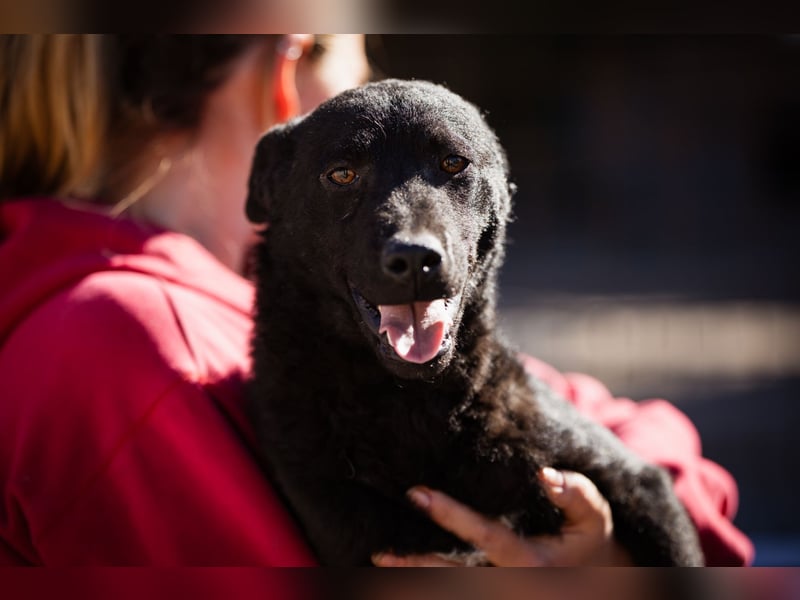 Vinn ❤️ schmusiger, süßer Bub sucht Liebe Vinn ❤️ schmusiger, süßer Bub sucht Liebe