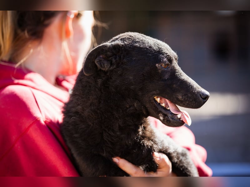 Vinn ❤️ schmusiger, süßer Bub sucht Liebe