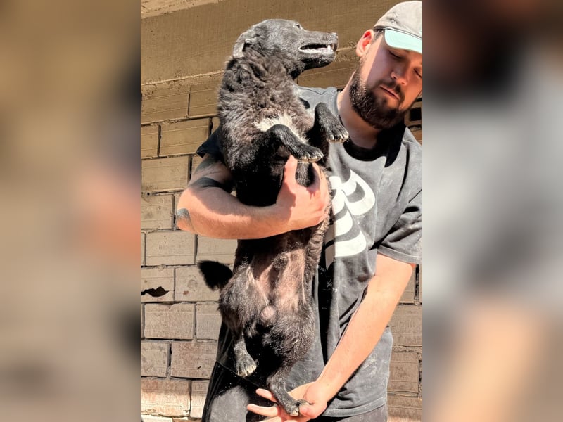 Felix ❤️ froher, süßer, aktiver Mix-Bub!