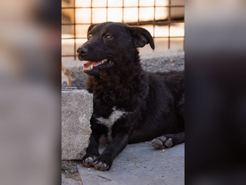 Vinn ❤️ schmusiger, süßer Bub sucht Liebe Vinn ❤️ schmusiger, süßer Bub sucht Liebe