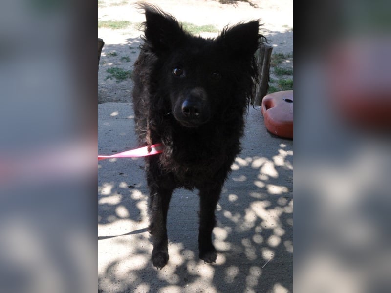 Juliška ❤ mit sanftem und zärtlichem Wesen