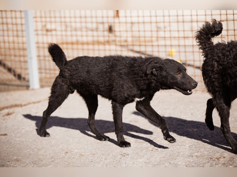 Vinn ❤️ schmusiger, süßer Bub sucht Liebe