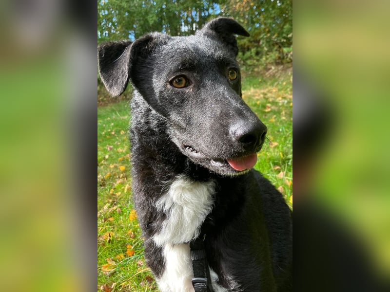 Elsie ❤️ wartet in 09648 Mittweida