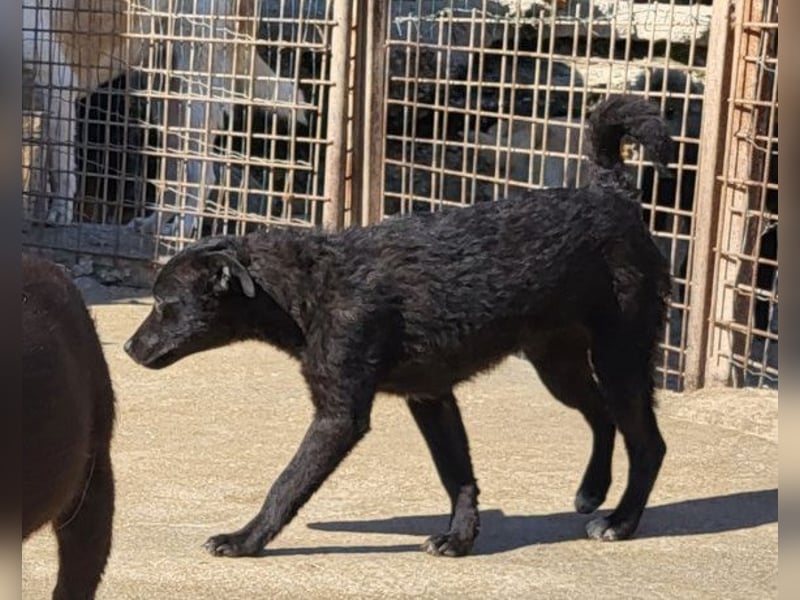 Vinn ❤️ schmusiger, süßer Bub sucht Liebe Vinn ❤️ schmusiger, süßer Bub sucht Liebe