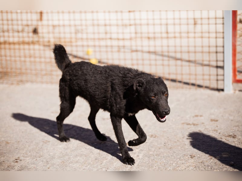 Vinn ❤️ schmusiger, süßer Bub sucht Liebe Vinn ❤️ schmusiger, süßer Bub sucht Liebe