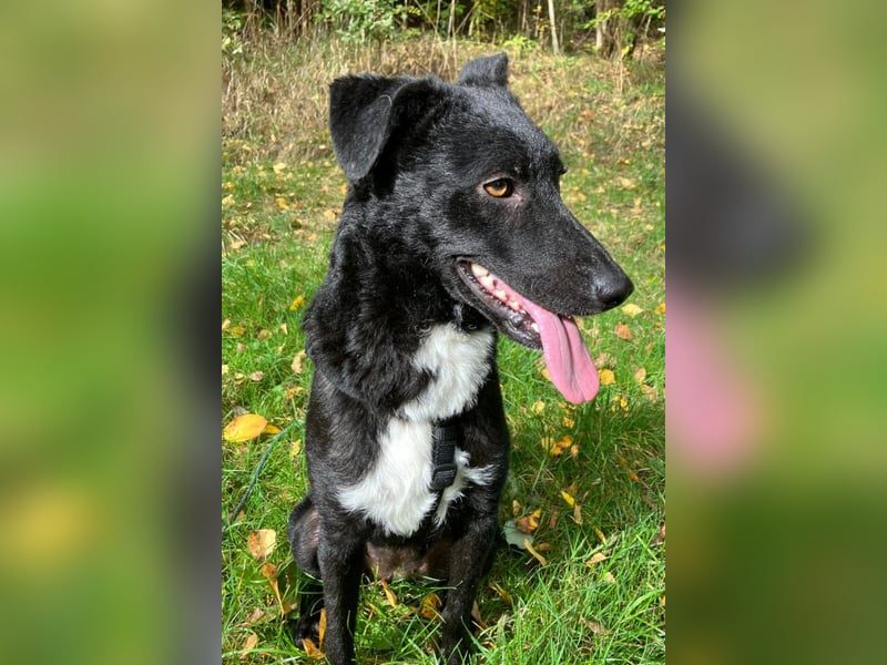 Elsie ❤️ wartet in 09648 Mittweida