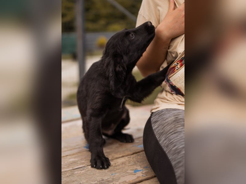 Little ♥Lenny♥ kleiner Rohdiamant