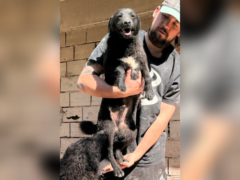 Vinn ❤️ schmusiger, süßer Bub sucht Liebe