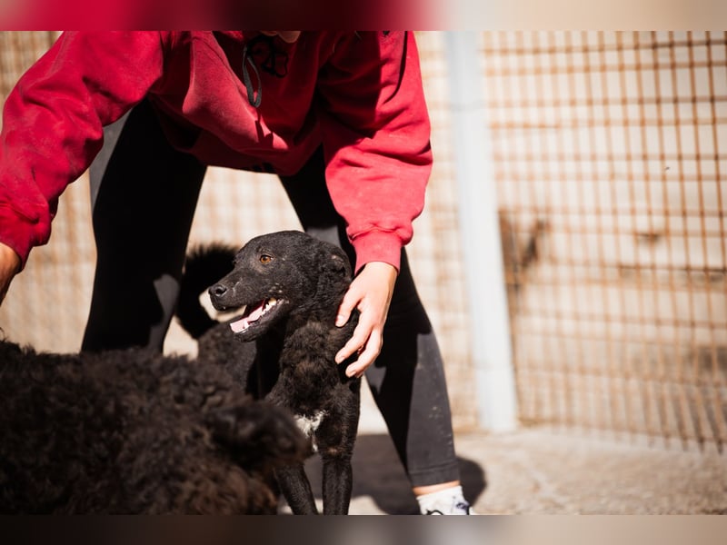 Vinn ❤️ schmusiger, süßer Bub sucht Liebe