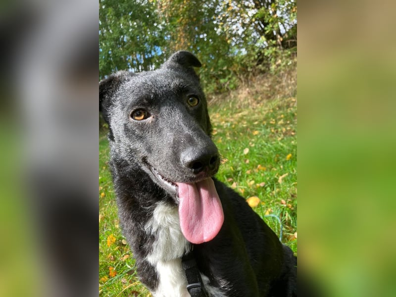 Elsie ❤️ wartet in 09648 Mittweida