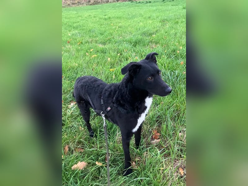 Elsie ❤️ wartet in 09648 Mittweida