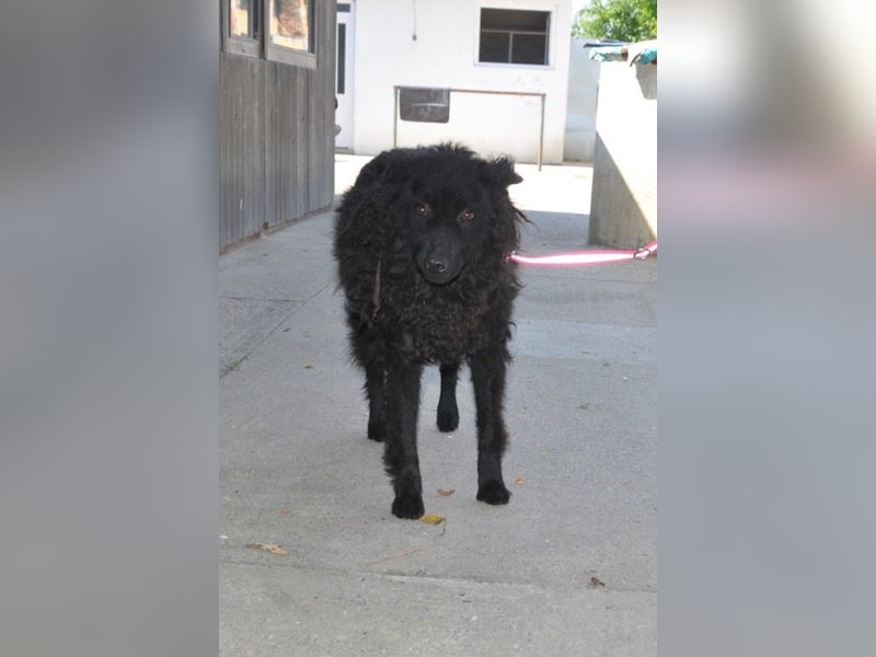 Juliška ❤ mit sanftem und zärtlichem Wesen