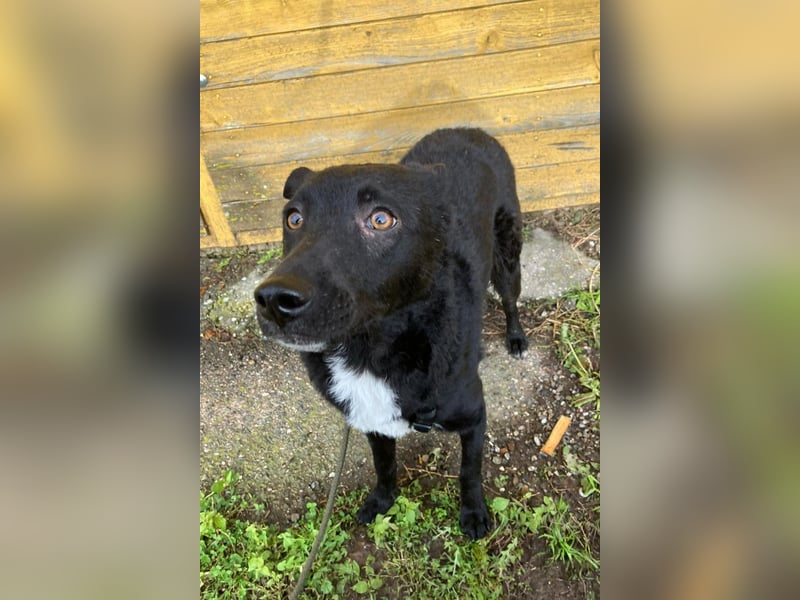 Elsie ❤️ wartet in 09648 Mittweida