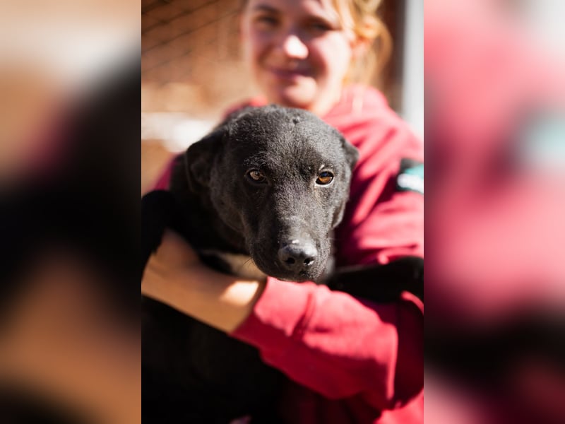 Felix ❤️ froher, süßer, aktiver Mix-Bub!