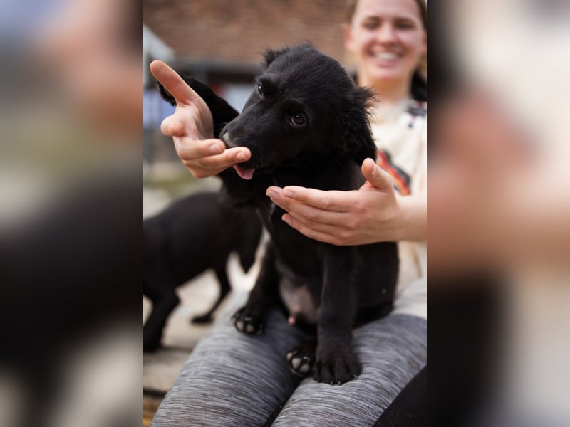 Little ♥Lenny♥ kleiner Rohdiamant