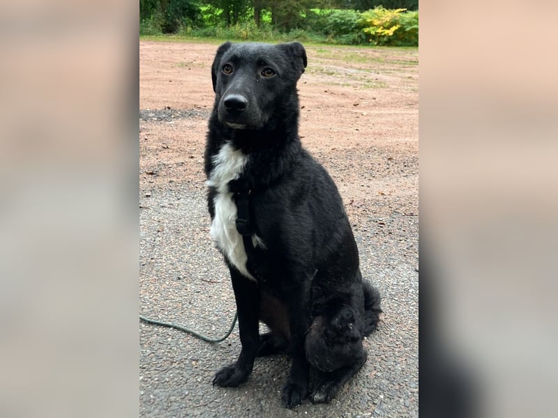 Elsie ❤️ wartet in 09648 Mittweida