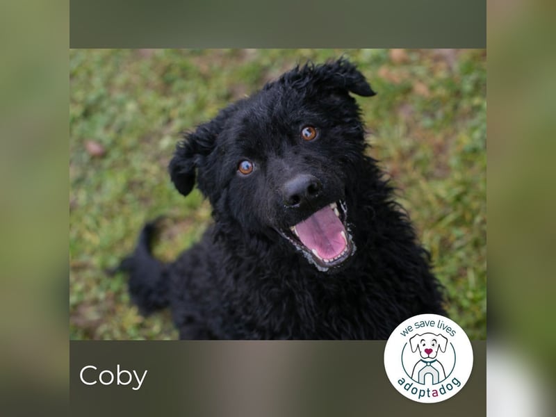 Coby 259255 sucht ein zu Hause