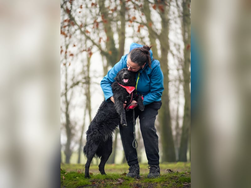 ❤️ Janja Sportlicher Hund mit Kuschelbonus