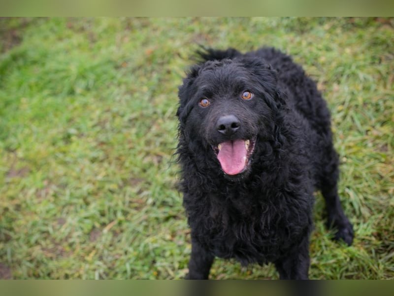 NOX - ich freue mich auf tolle Abenteuer mit meiner Familie!